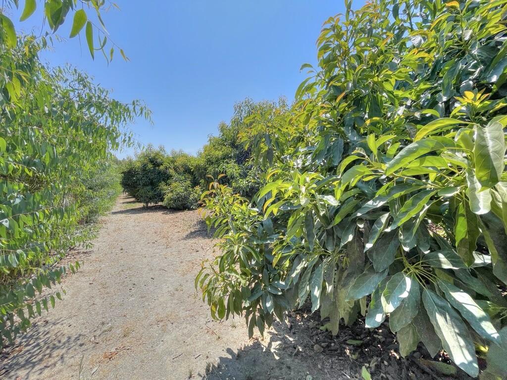 Casa en Venta en Vélez-Málaga
