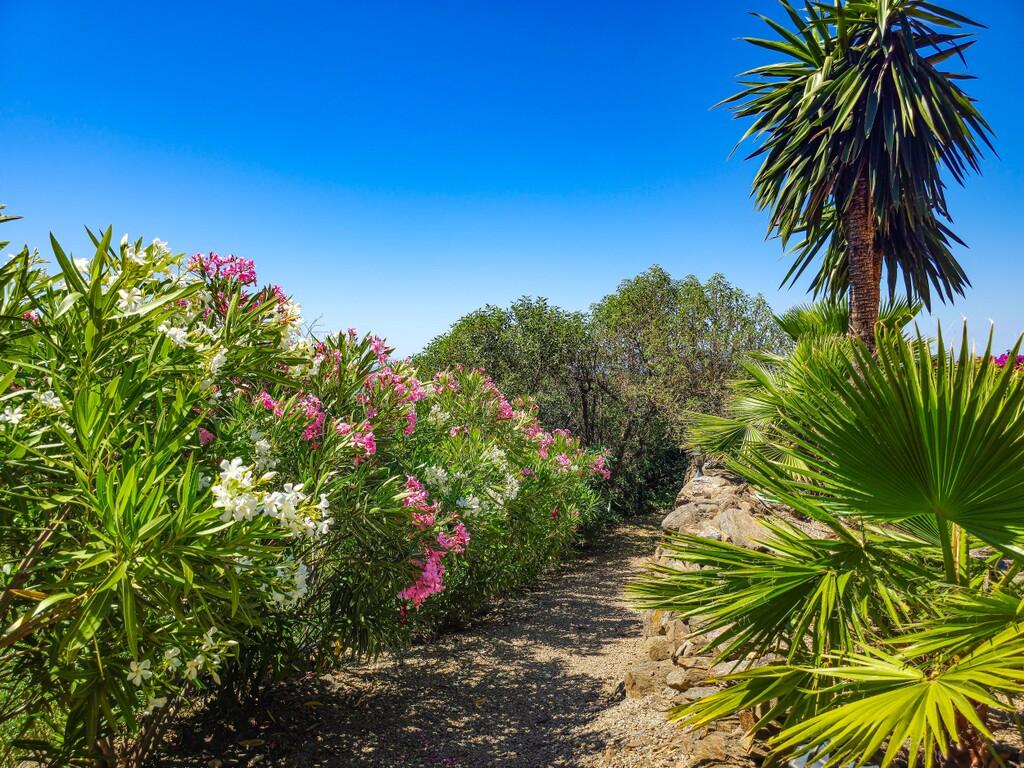 Villa for Sale in Arenas