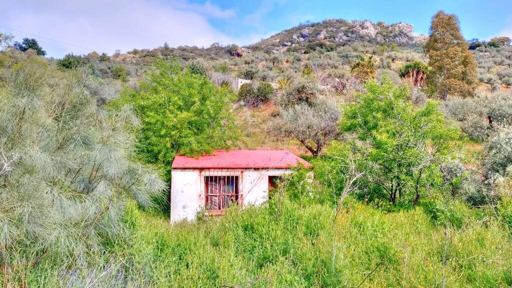 Building Site for Sale in Comares