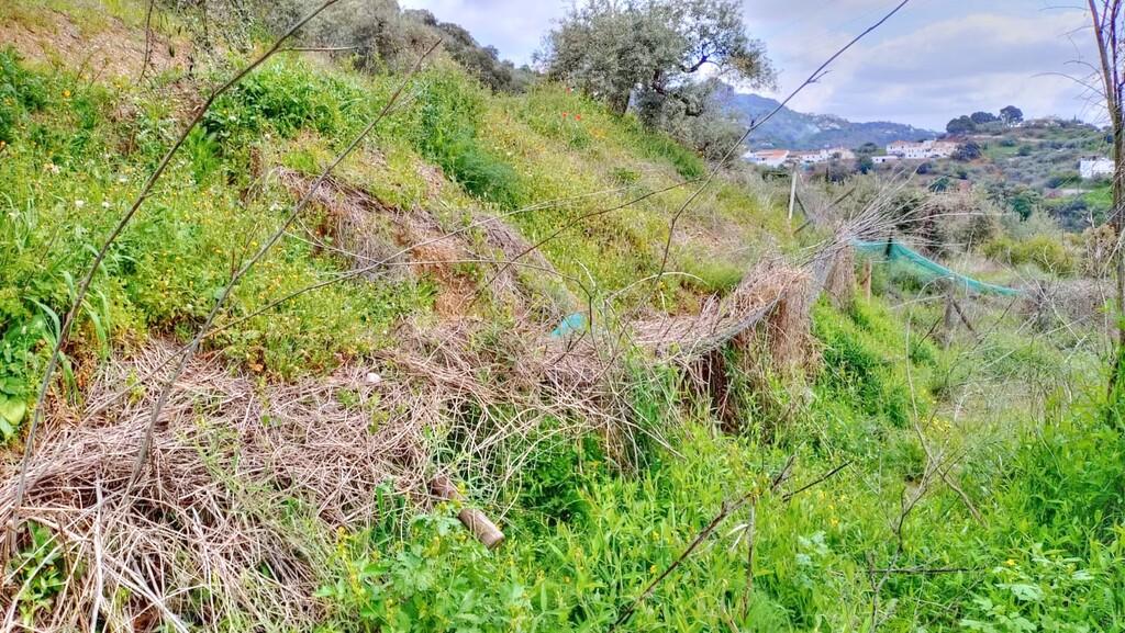 Building Site for Sale in Comares