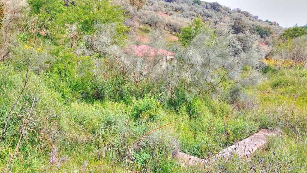Building Site for Sale in Comares