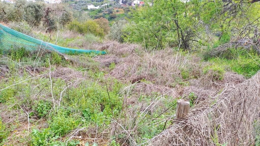 Building Site for Sale in Comares