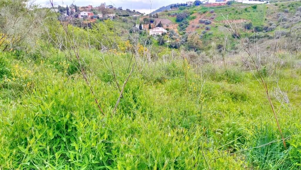 Building Site for Sale in Comares