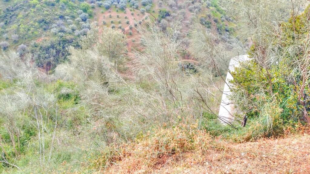 Building Site for Sale in Comares