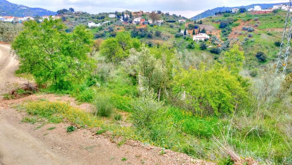 Building Site for Sale in Comares