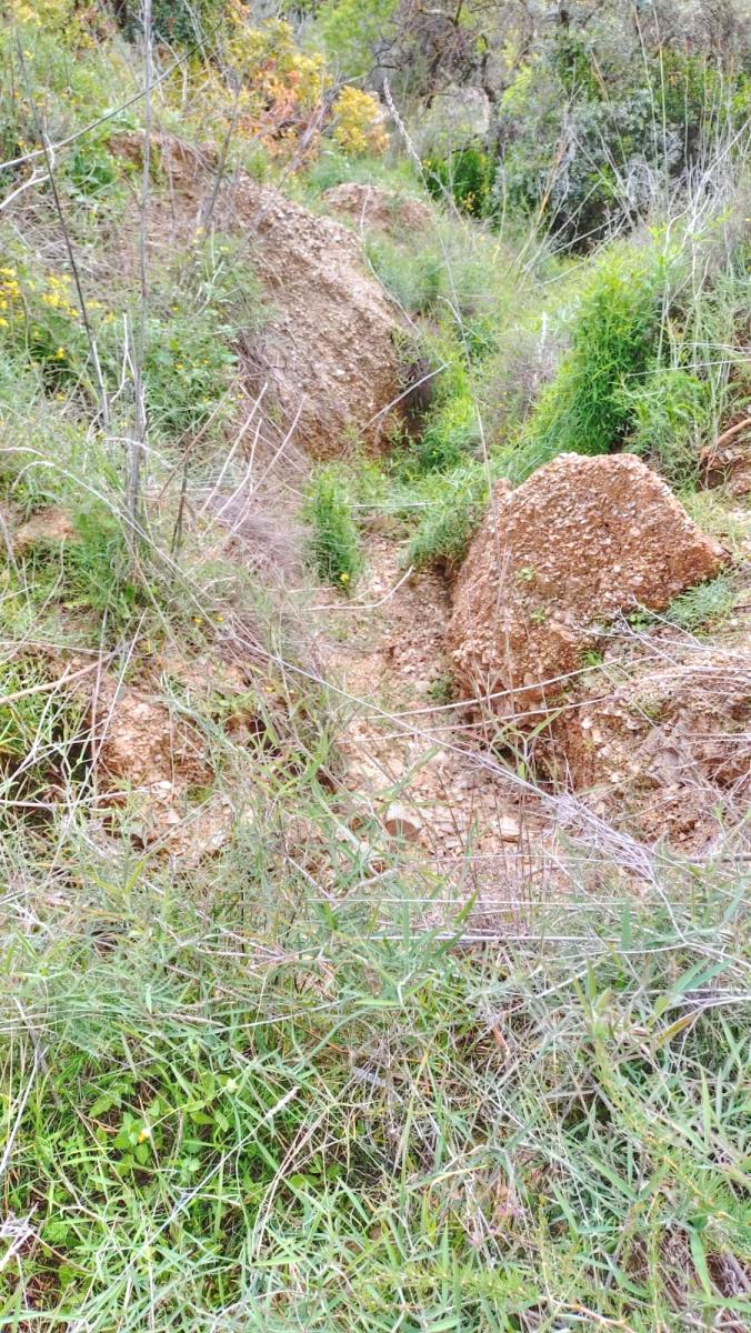Building Site for Sale in Comares