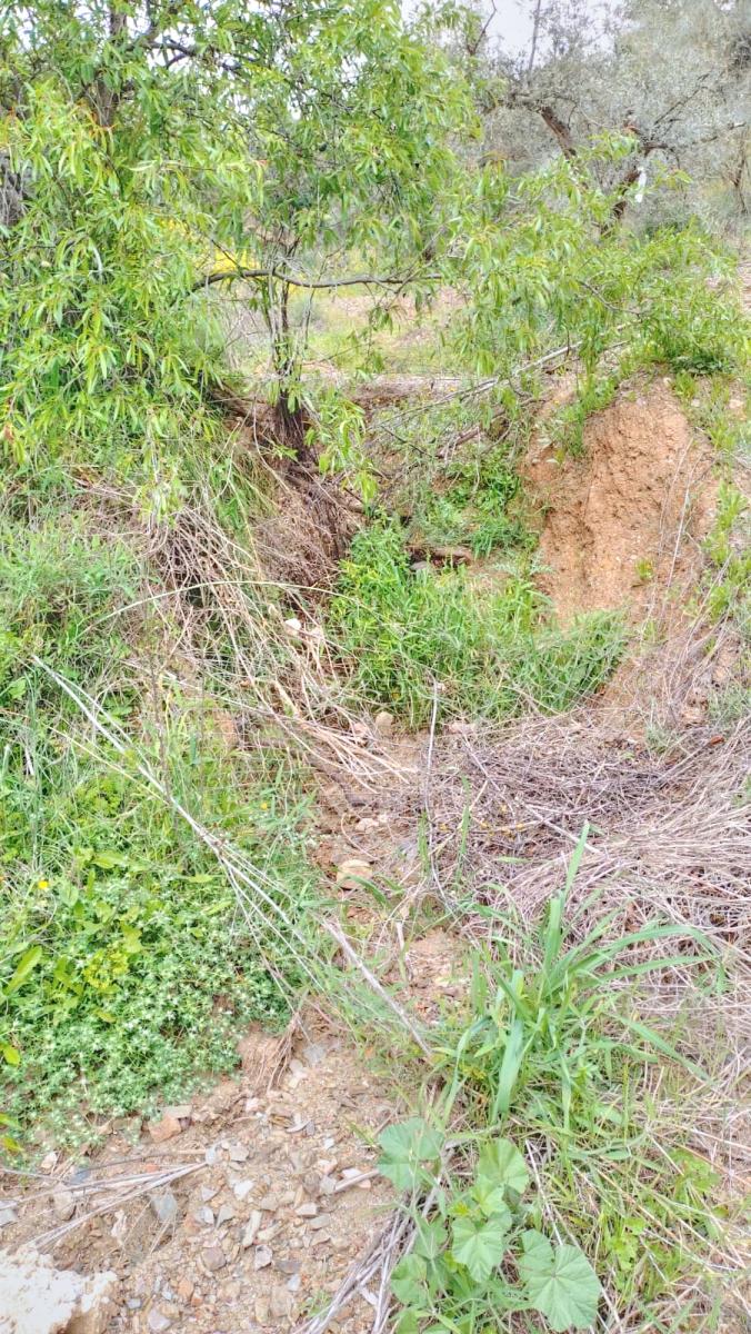 Building Site for Sale in Comares