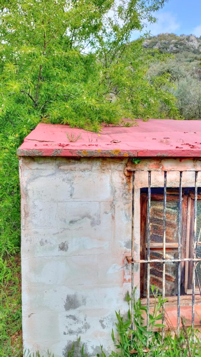 Building Site for Sale in Comares