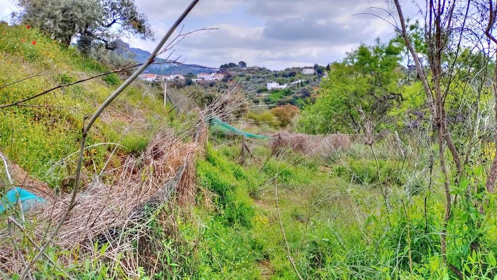 Building Site for Sale in Comares