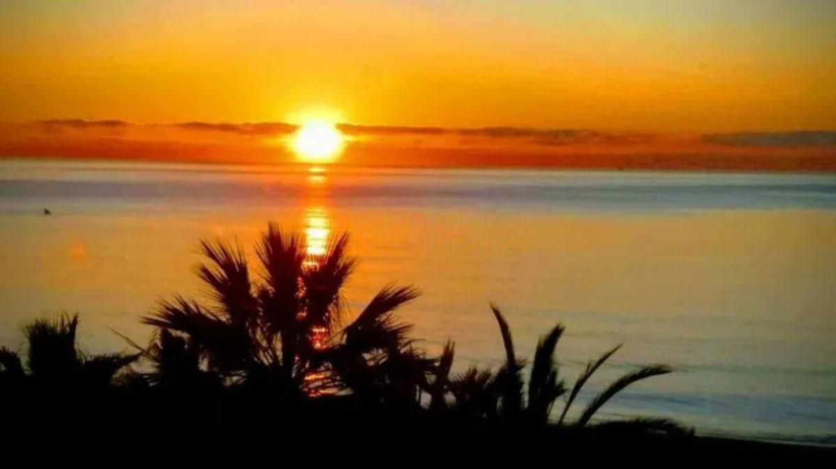 Apartment for Sale in Estepona