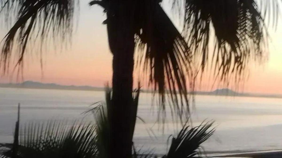 Apartment for Sale in Estepona