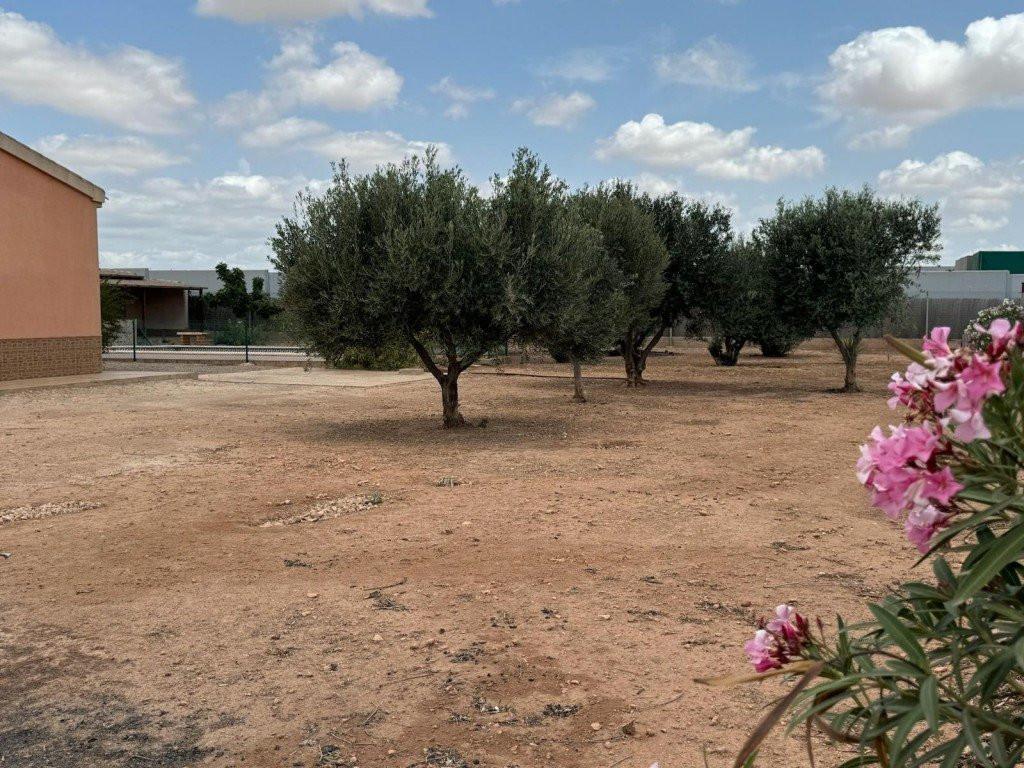 House for Sale in Fuente Álamo de Murcia