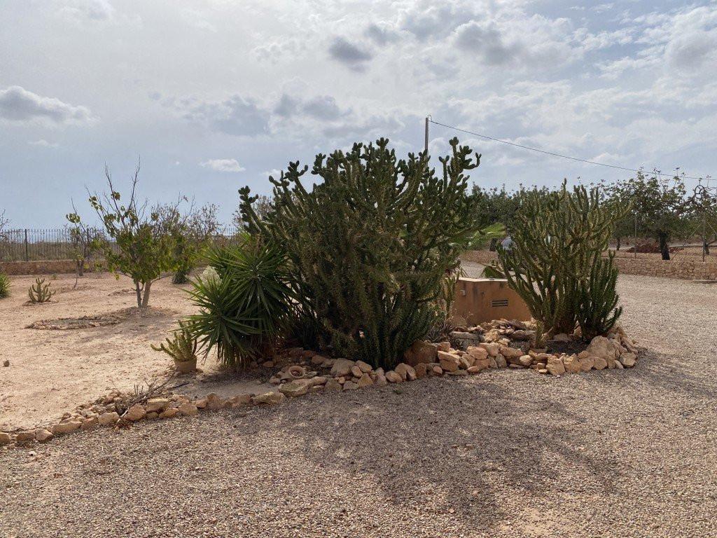 House for Sale in Fuente Álamo de Murcia