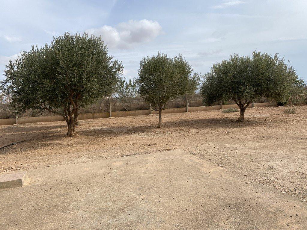 House for Sale in Fuente Álamo de Murcia