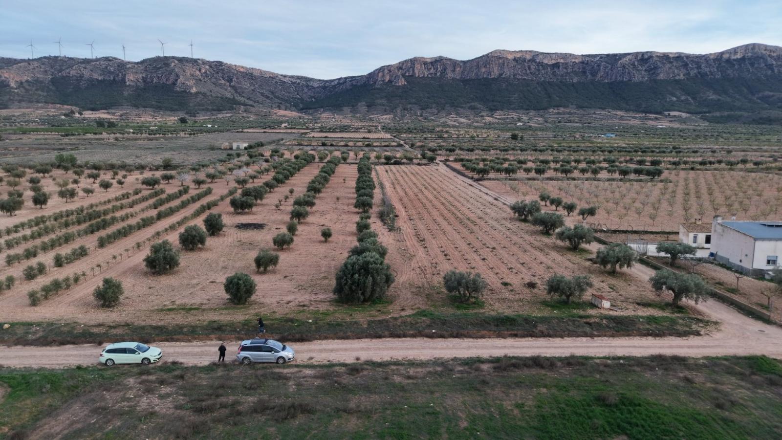 Building Site for Sale in Jumilla