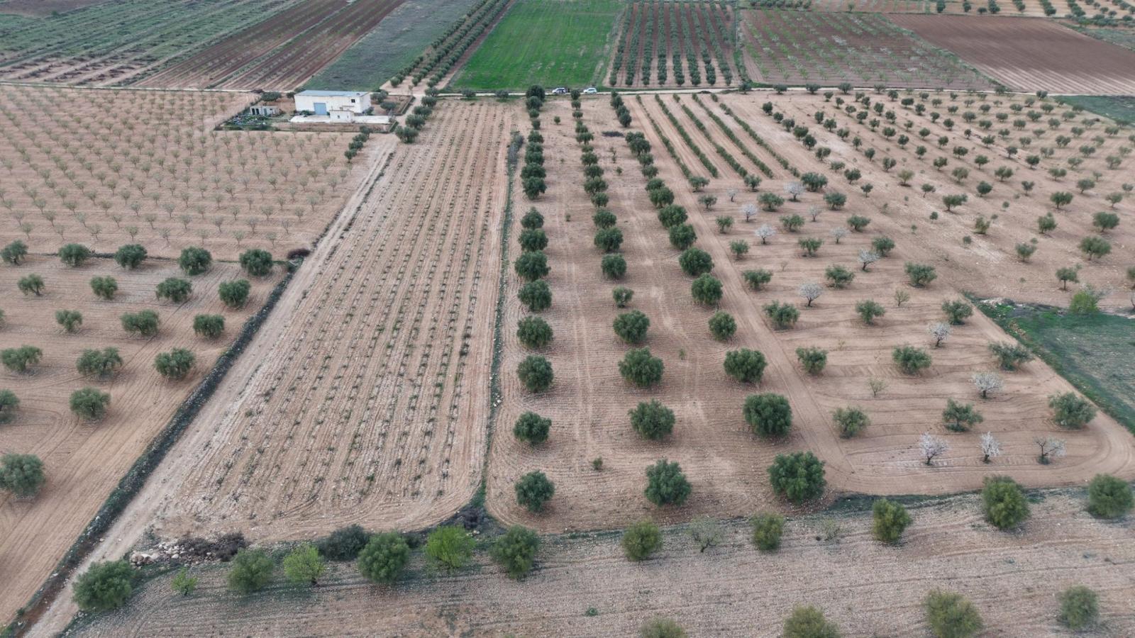 Building Site for Sale in Jumilla