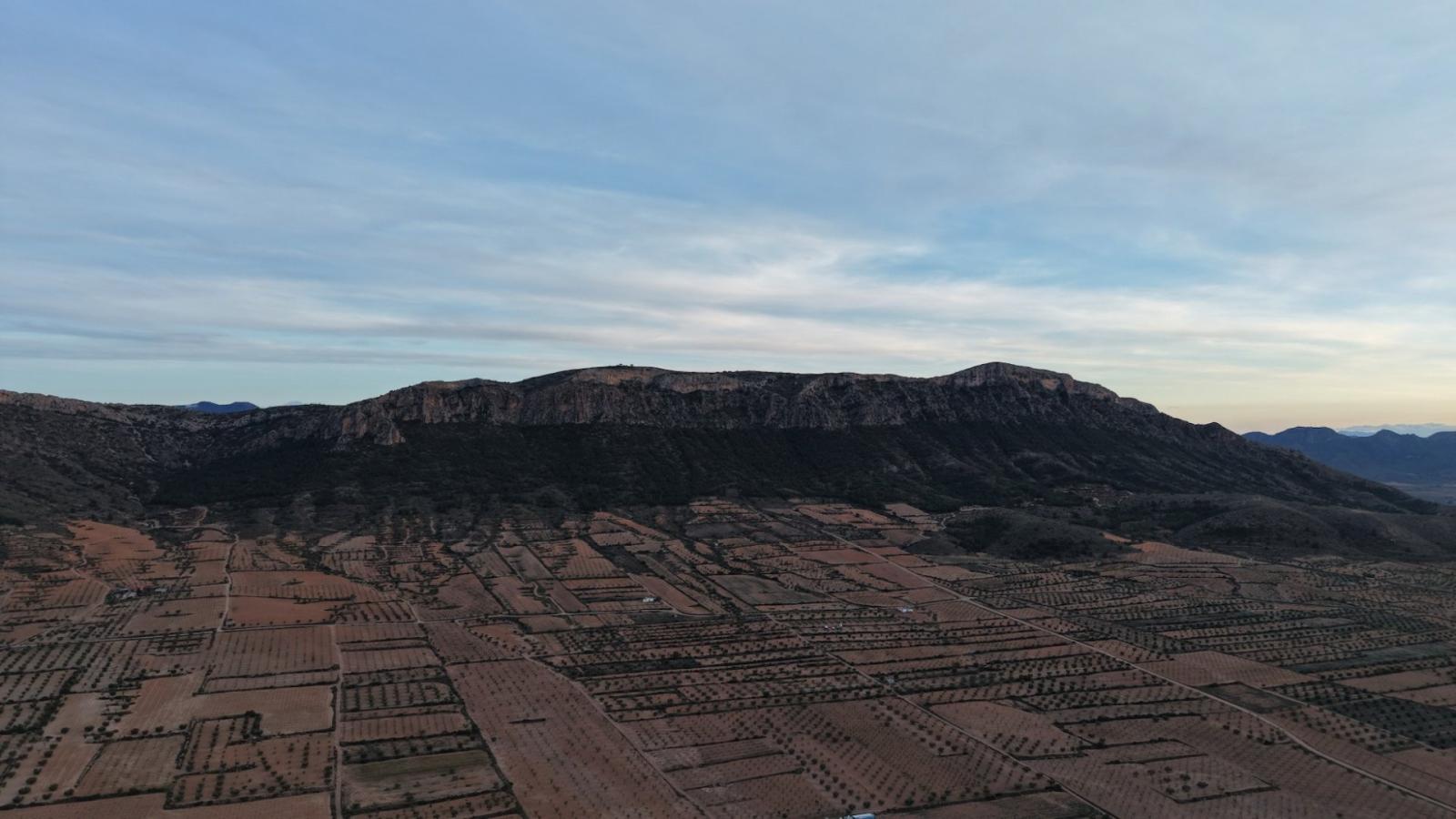 Building Site for Sale in Jumilla