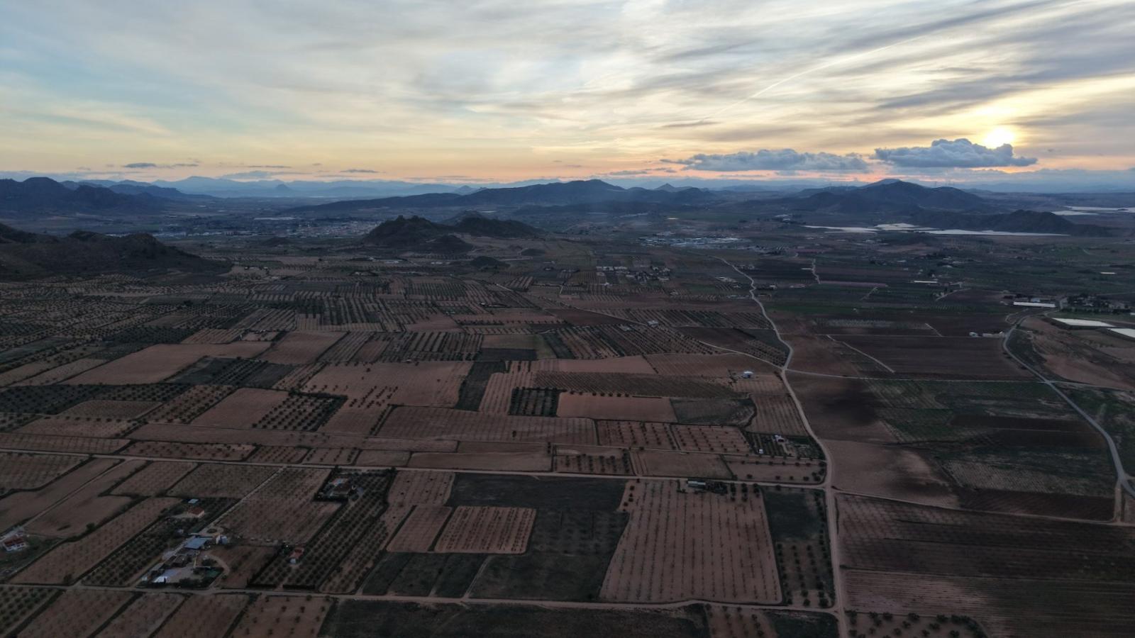 Building Site for Sale in Jumilla