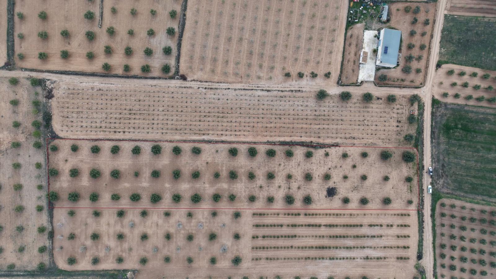 Building Site for Sale in Jumilla