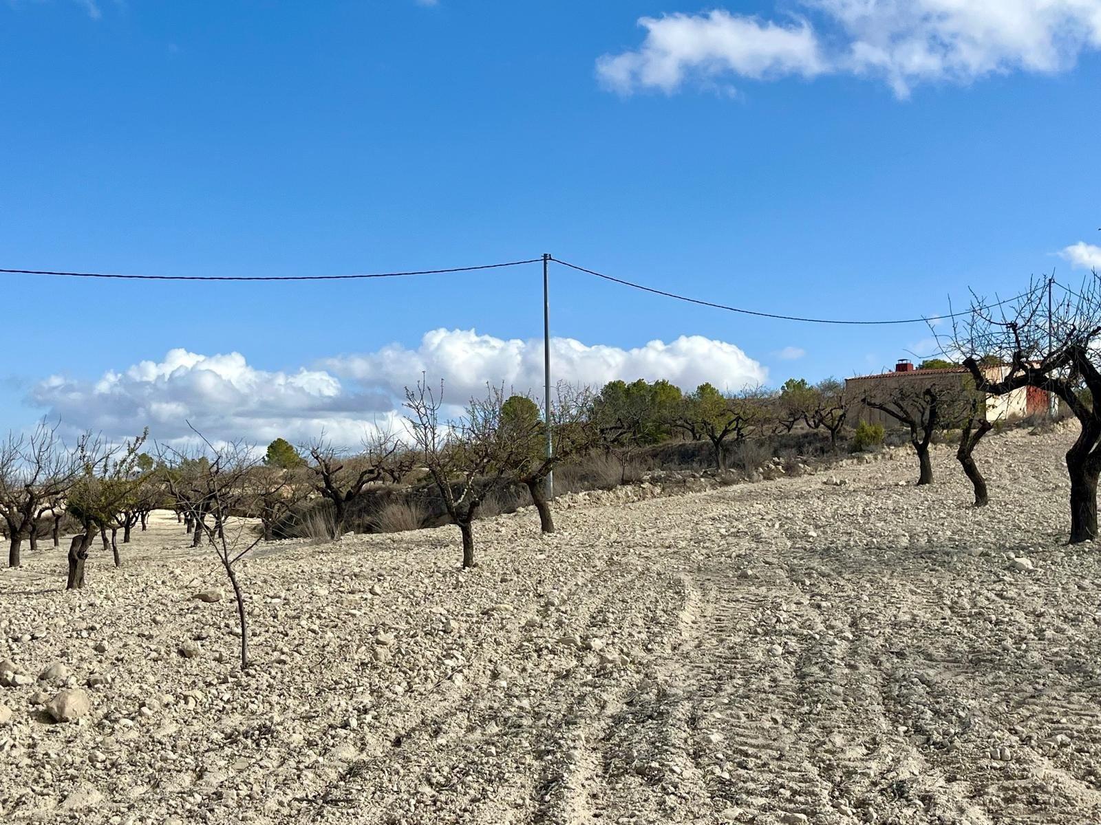 Building Site for Sale in Bullas