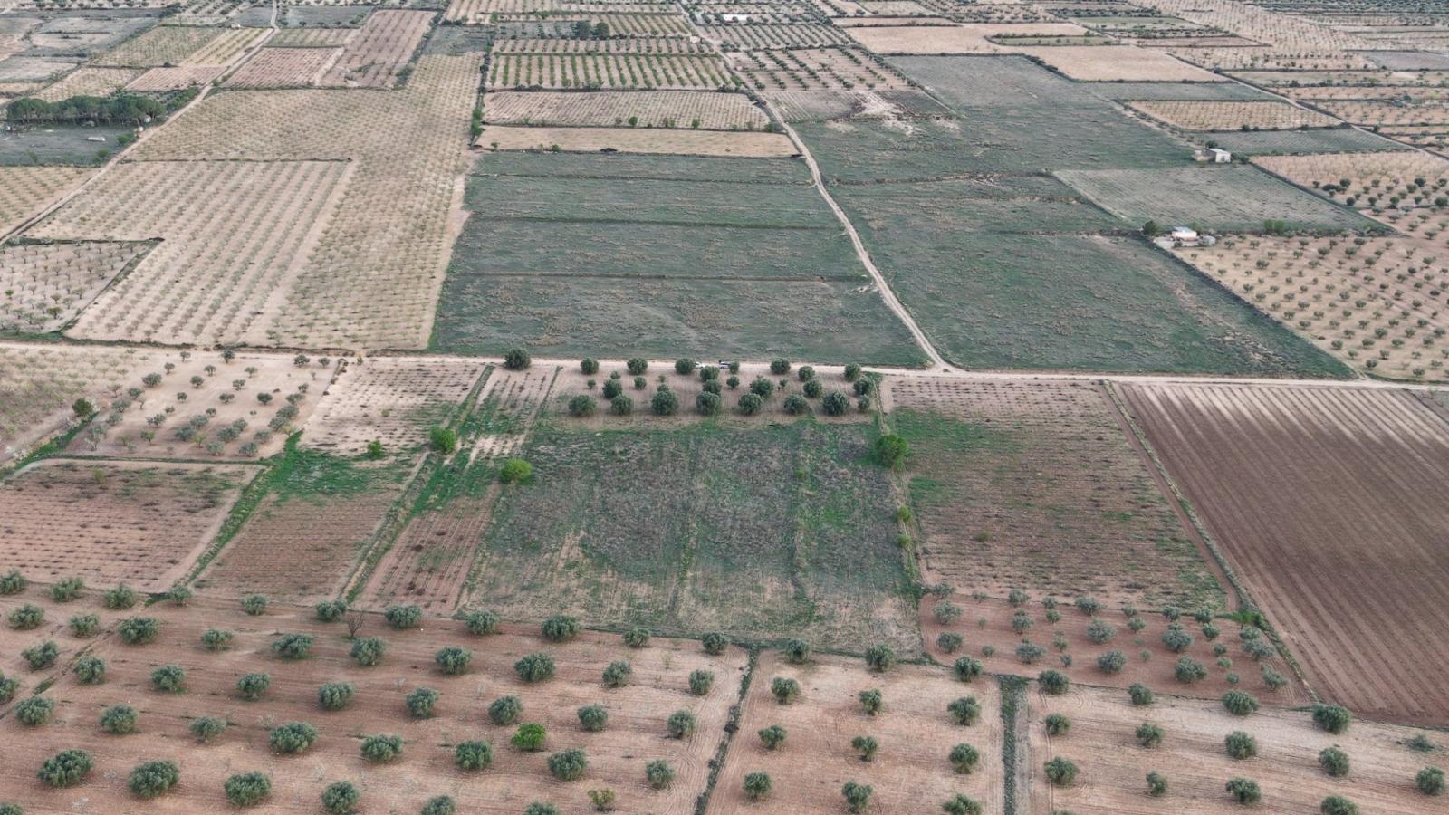 Solar en Venta en Jumilla