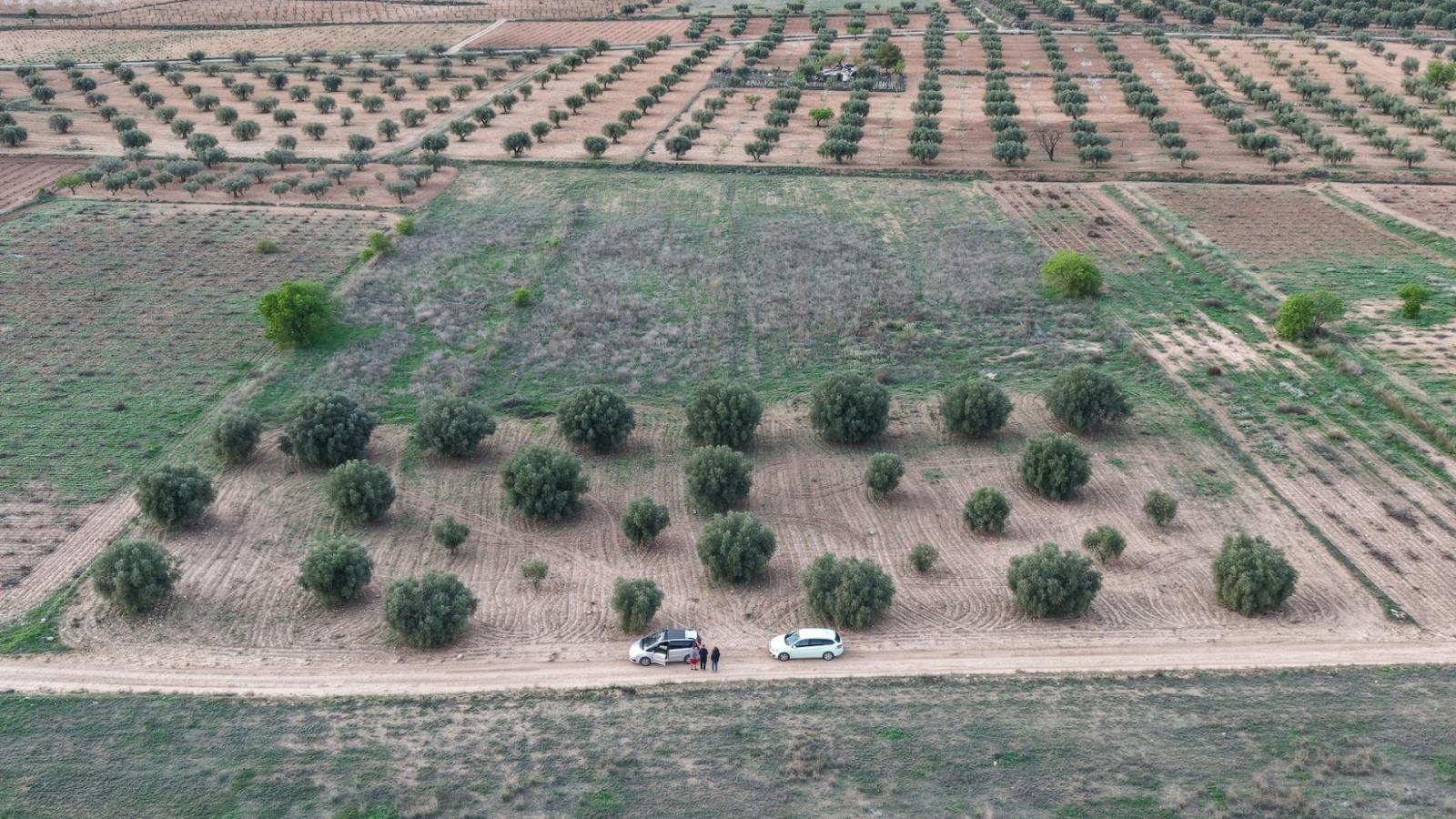 Solar en Venta en Jumilla