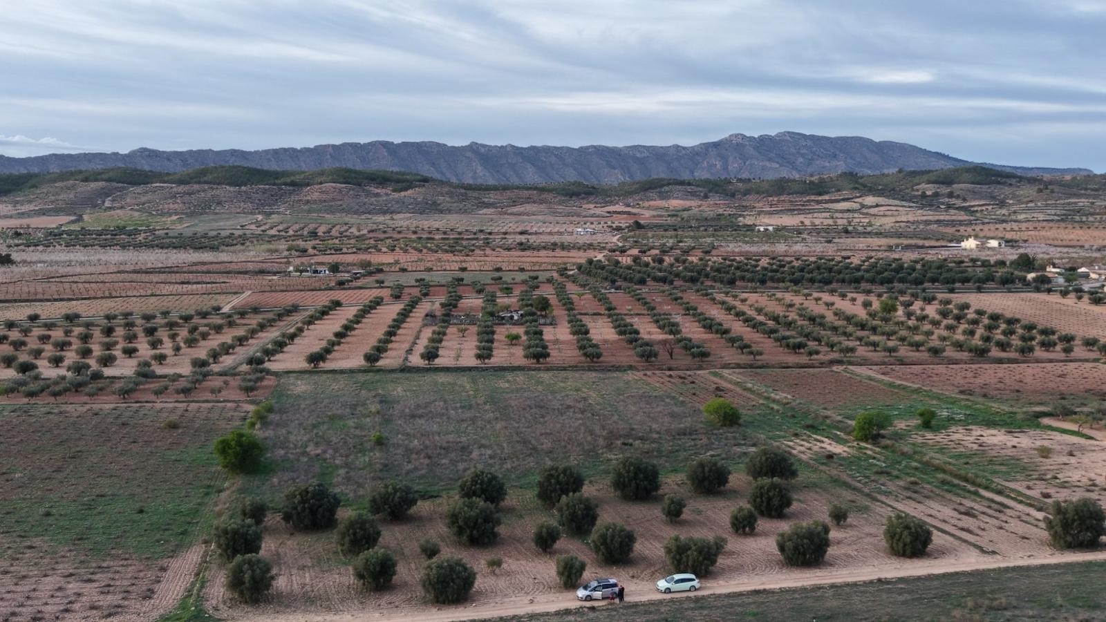 Solar en Venta en Jumilla