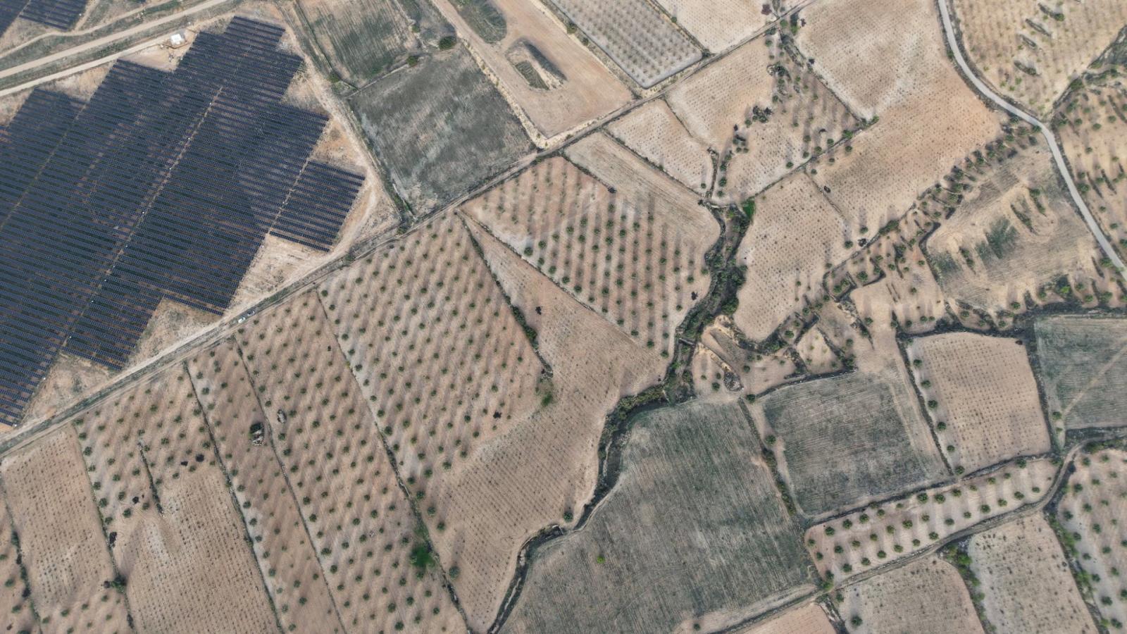 Solar en Venta en Jumilla