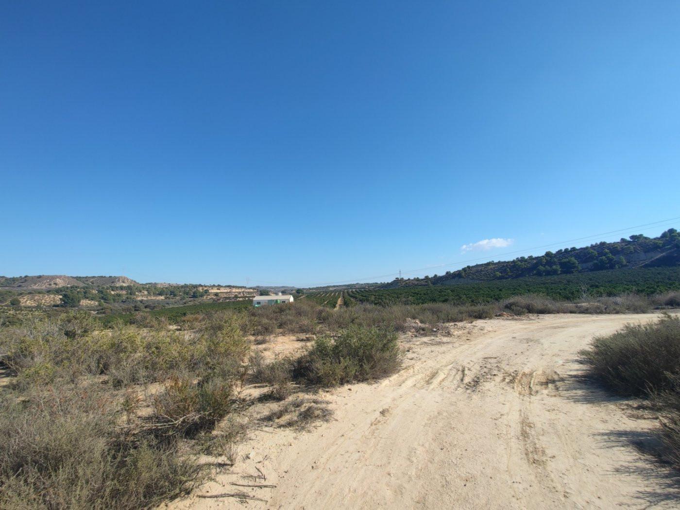 Finca en Venta en Orihuela