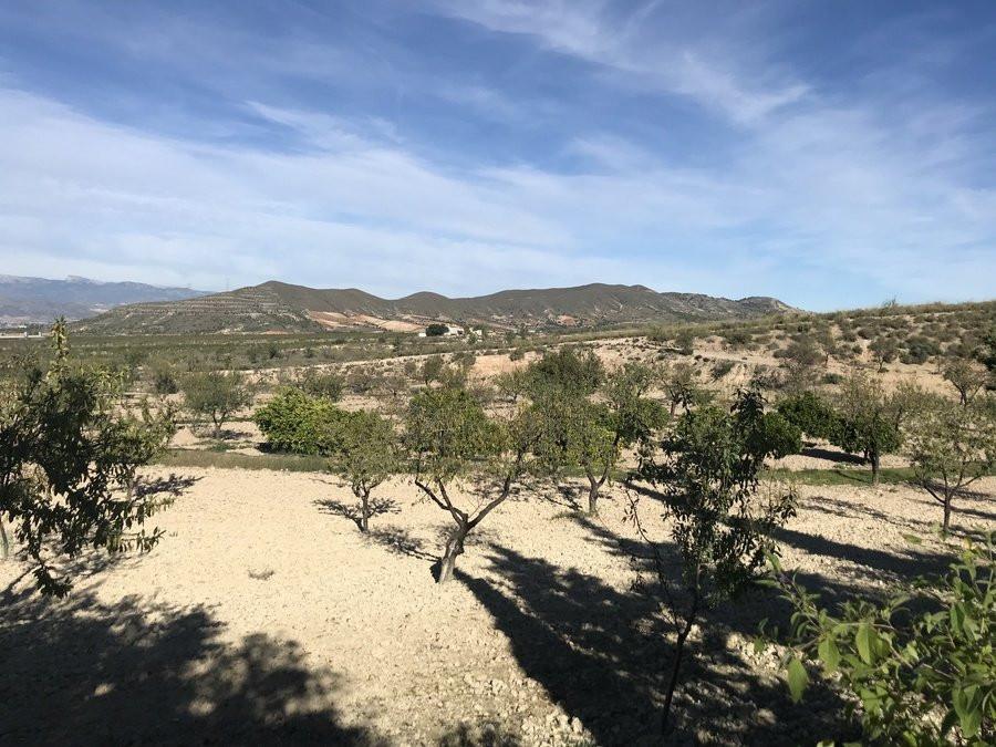 Finca en Venta en Lorca