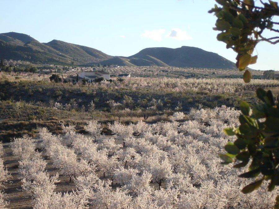 Finca en Venta en Lorca