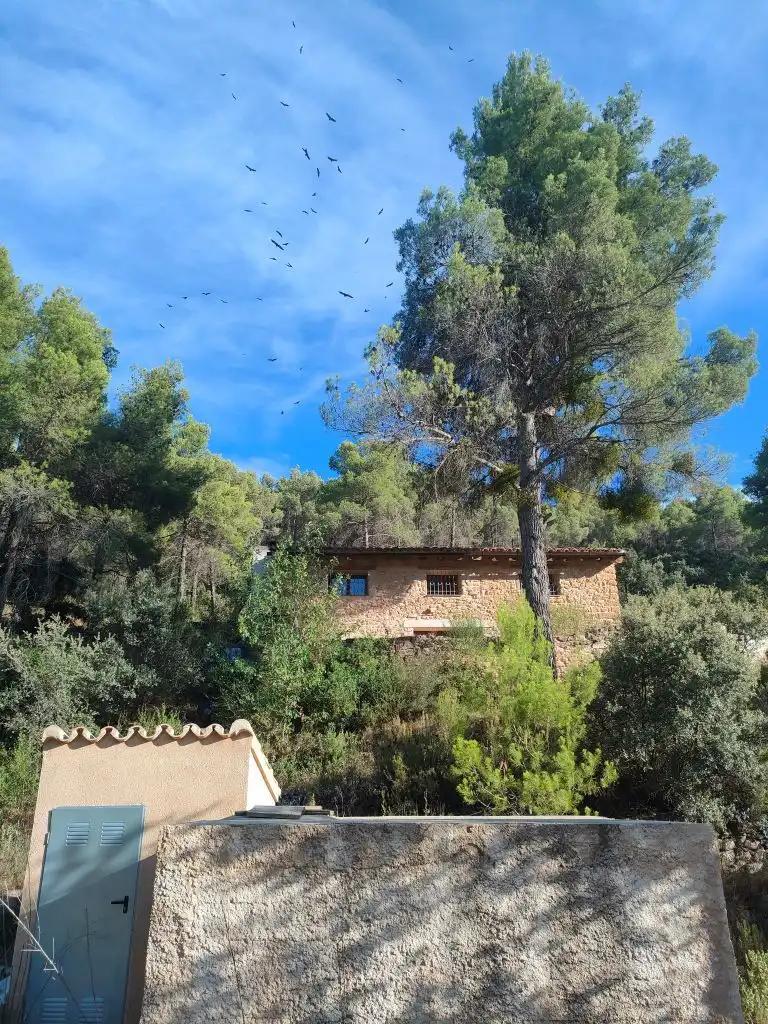Casa en Venta en Fuentespalda