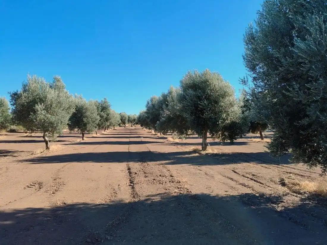 Casa en Venta en Cretas