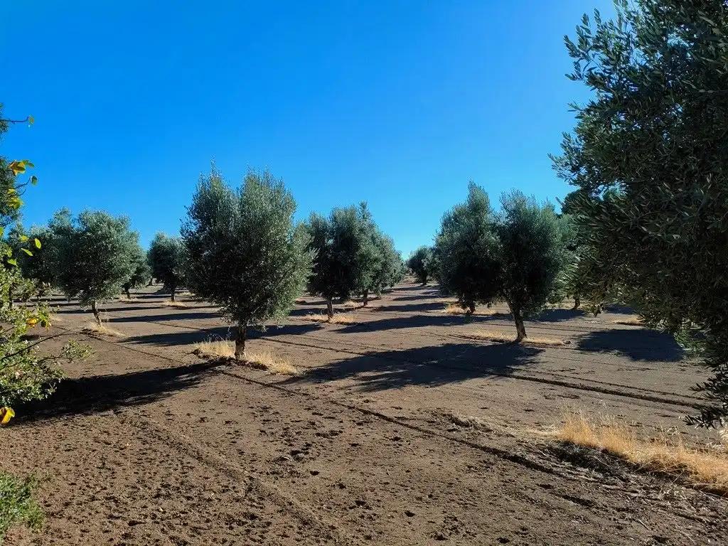 Casa en Venta en Cretas