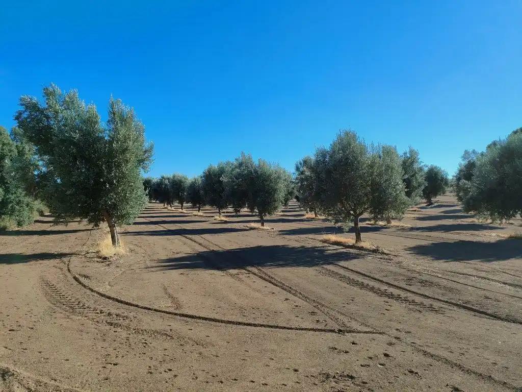 Casa en Venta en Cretas