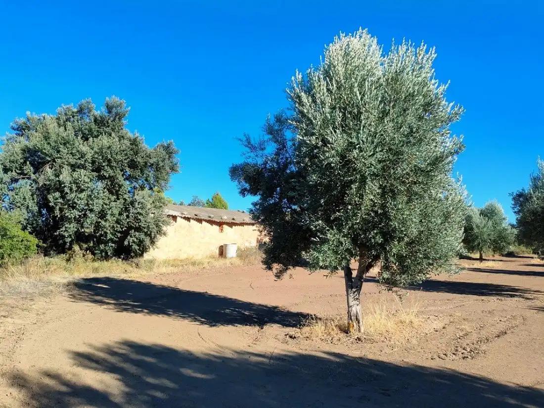 Casa en Venta en Cretas