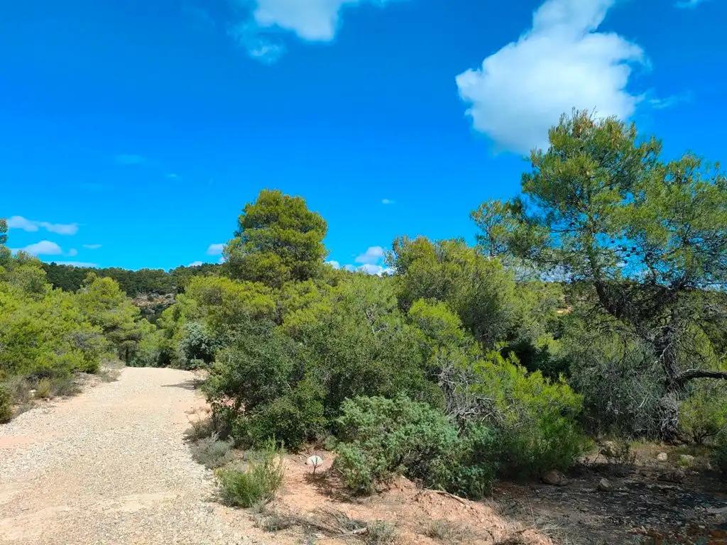 Finca en Venta en La Portellada
