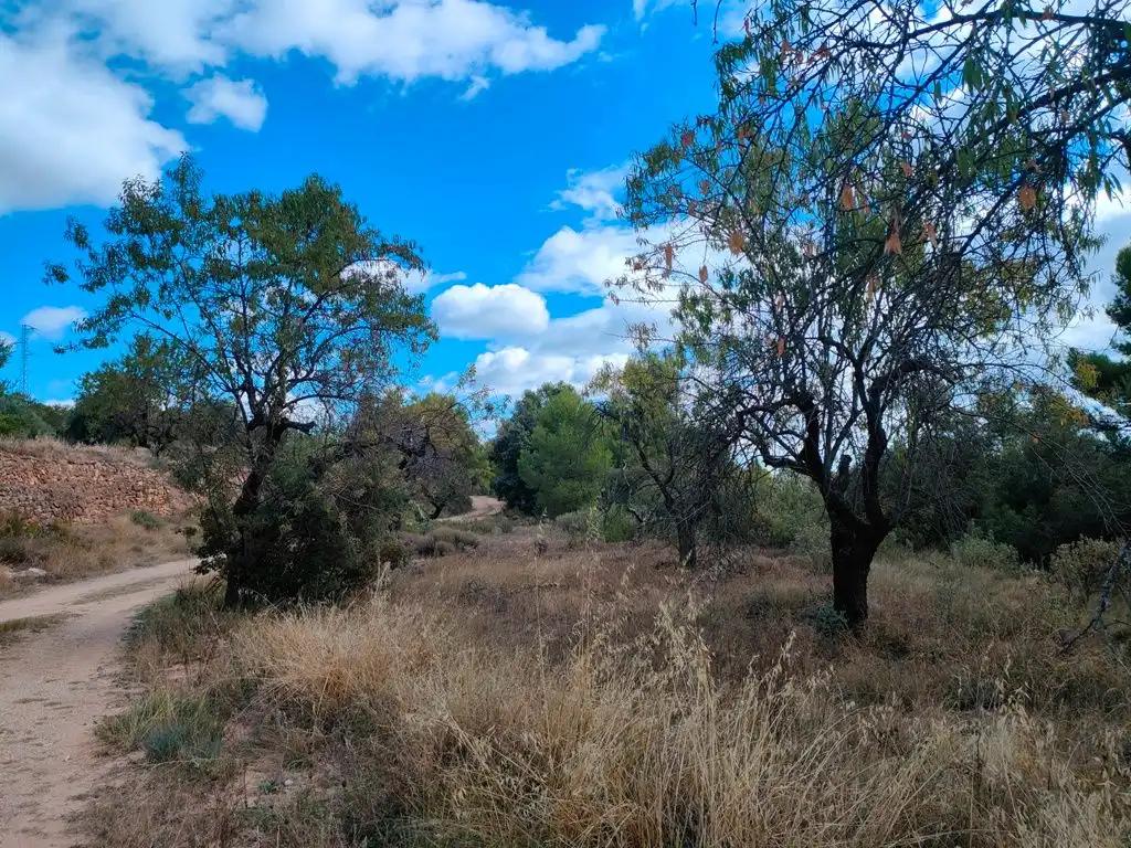 Finca en Venta en La Portellada