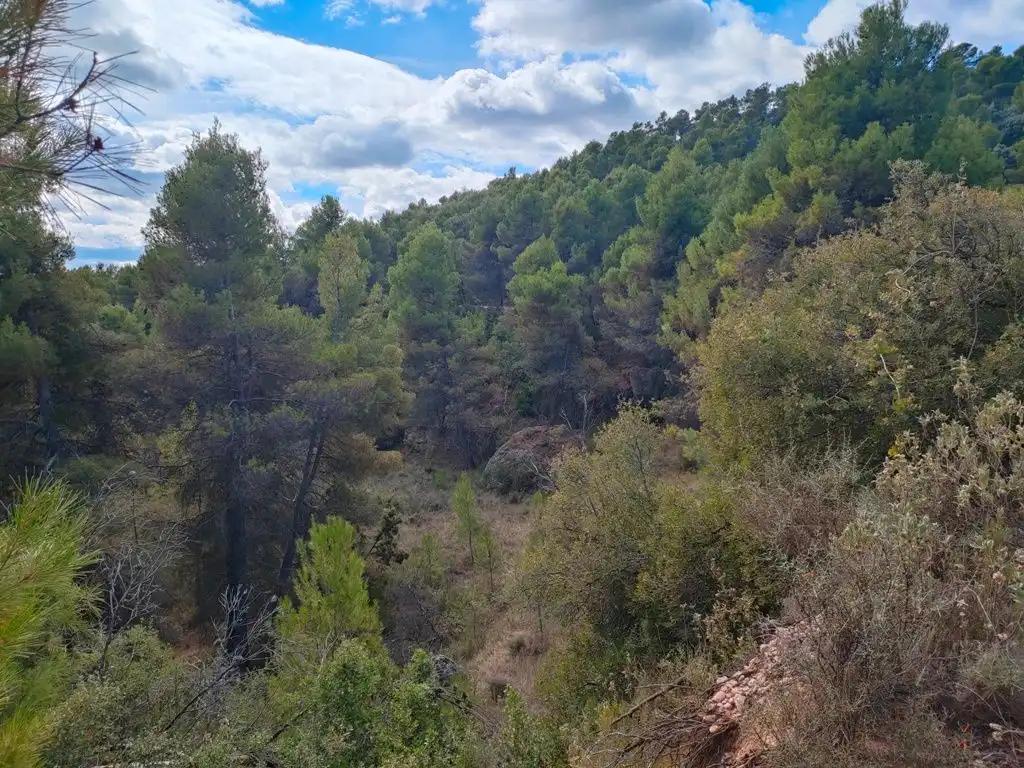 Finca en Venta en La Portellada