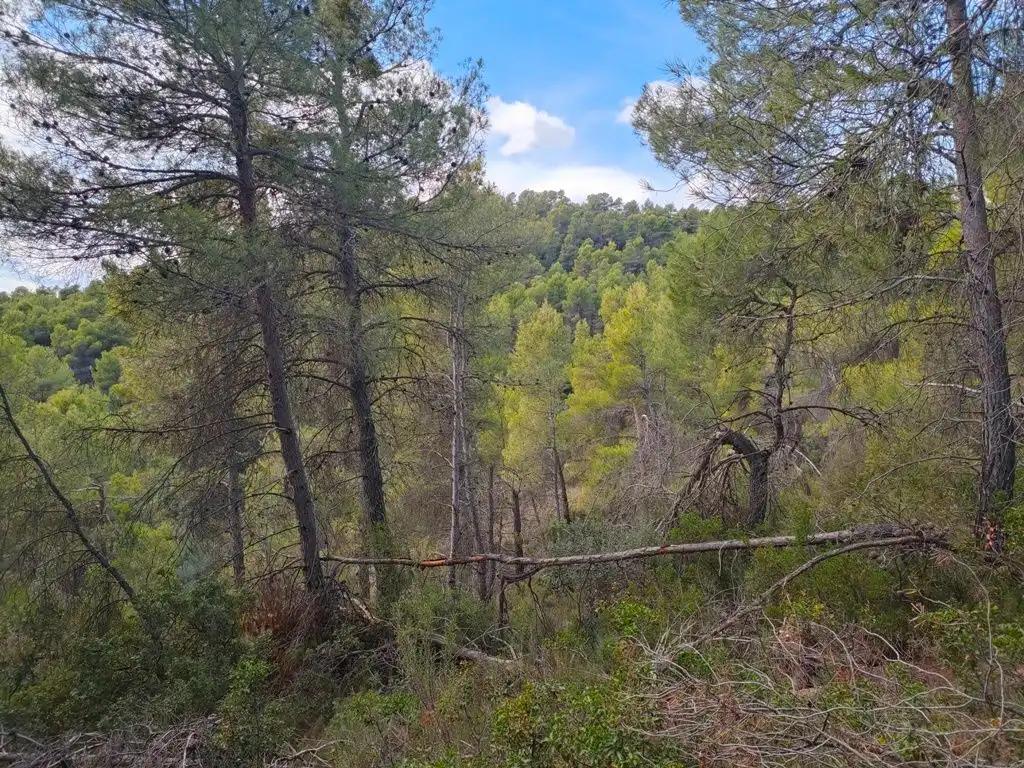 Finca en Venta en La Portellada