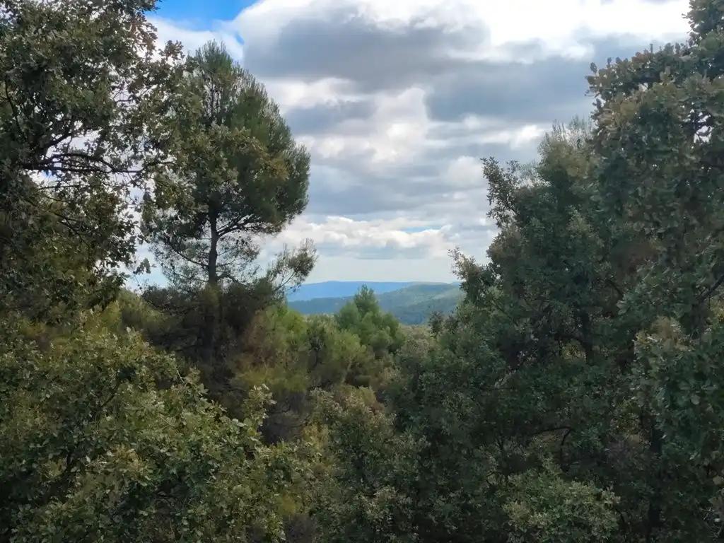 Finca en Venta en La Portellada