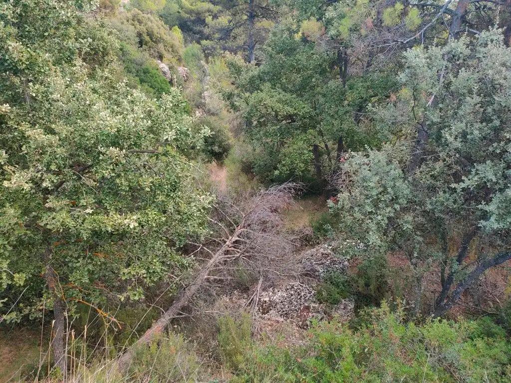 Finca en Venta en La Portellada