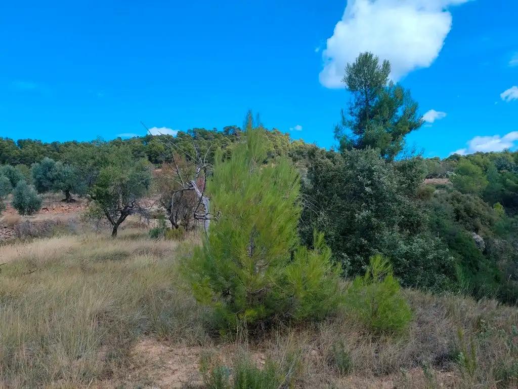 Finca en Venta en La Portellada