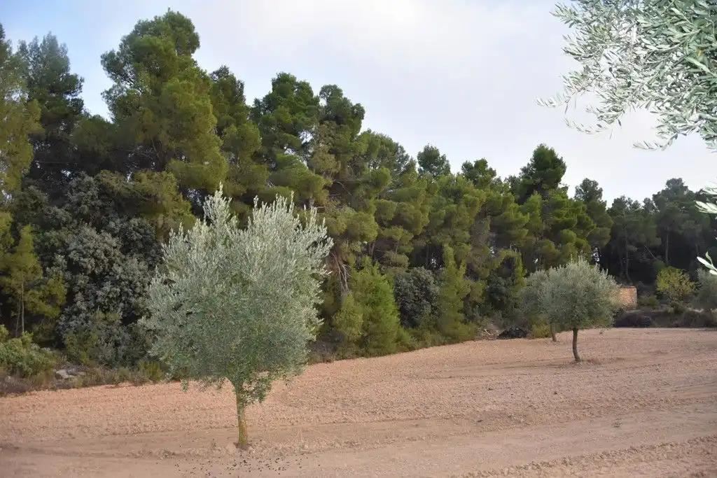 Finca en Venta en Valderrobres