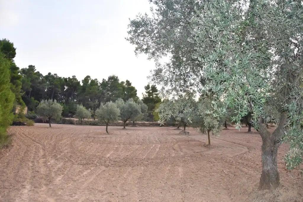 Finca en Venta en Valderrobres
