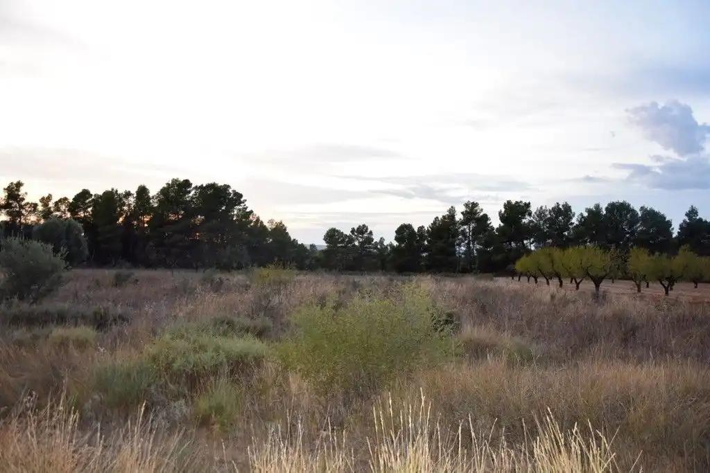 Finca en Venta en Valderrobres