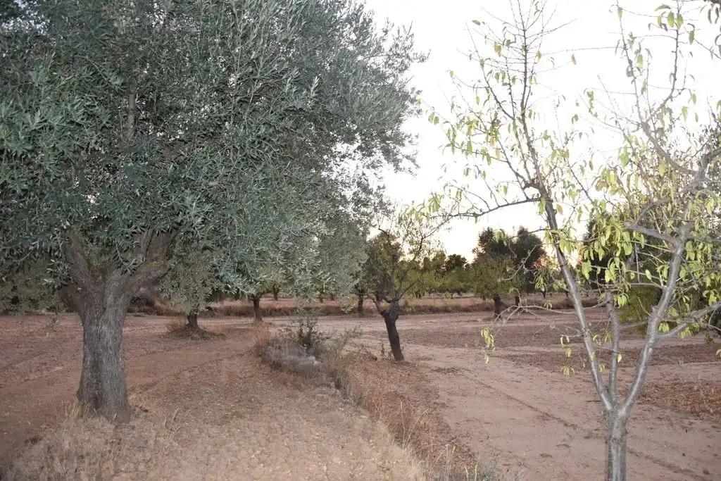 Finca en Venta en Valderrobres