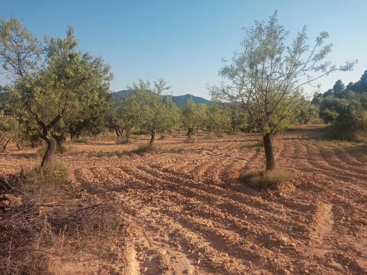 Finca en Venta en Monroyo