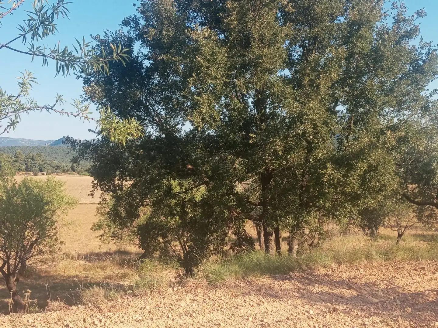 Finca en Venta en Monroyo