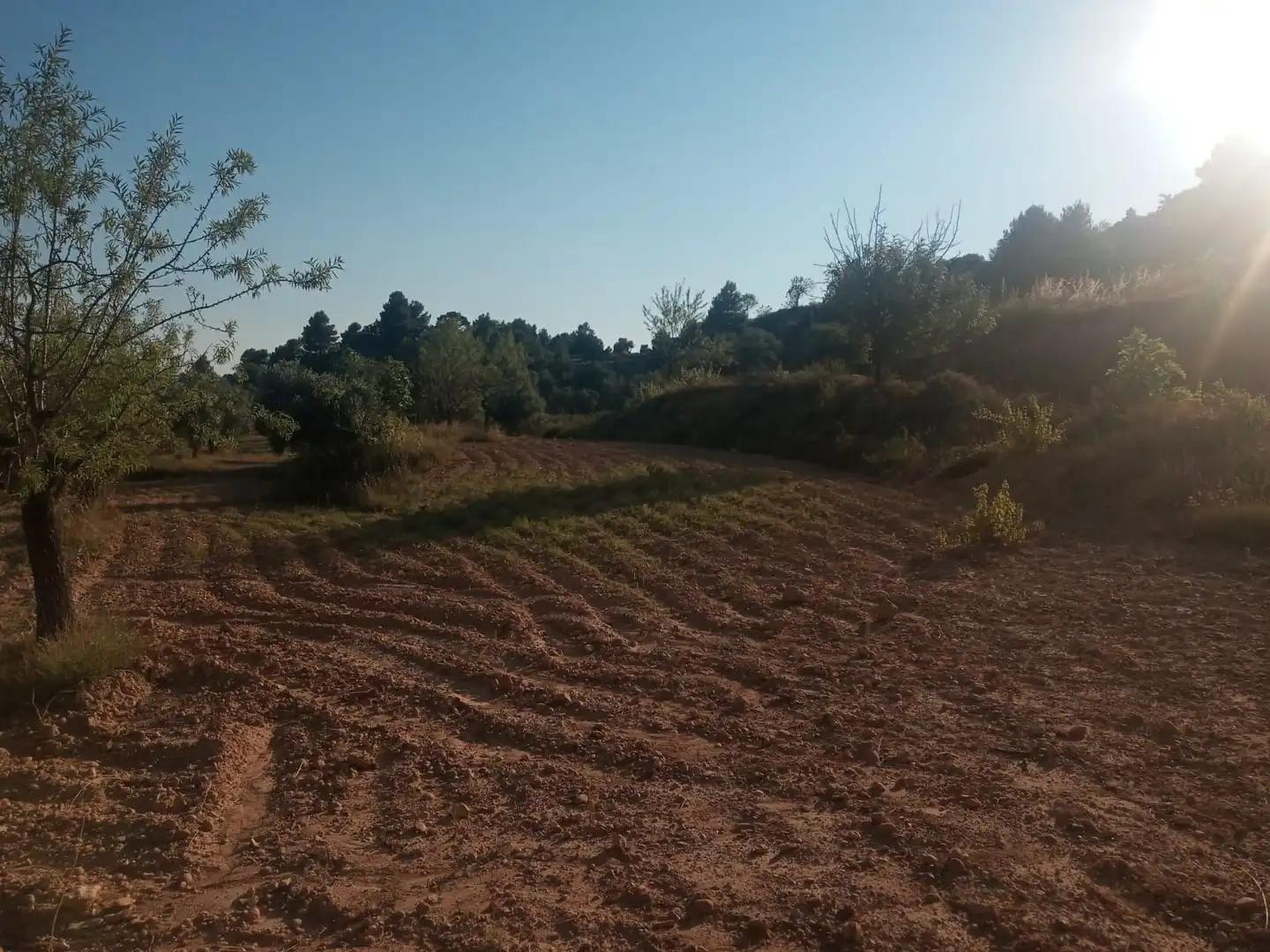 Finca en Venta en Monroyo